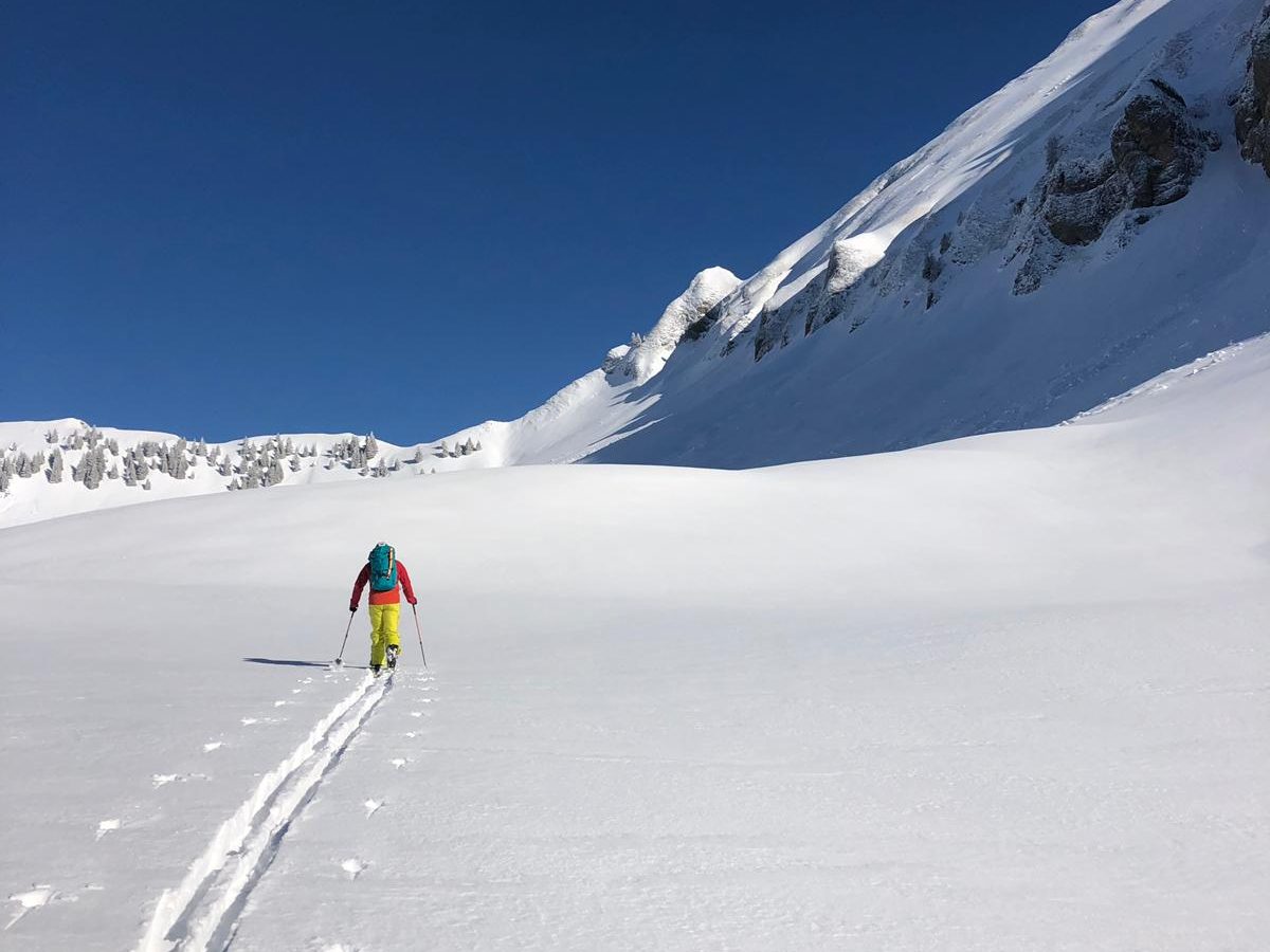 skiderandojalouvre
