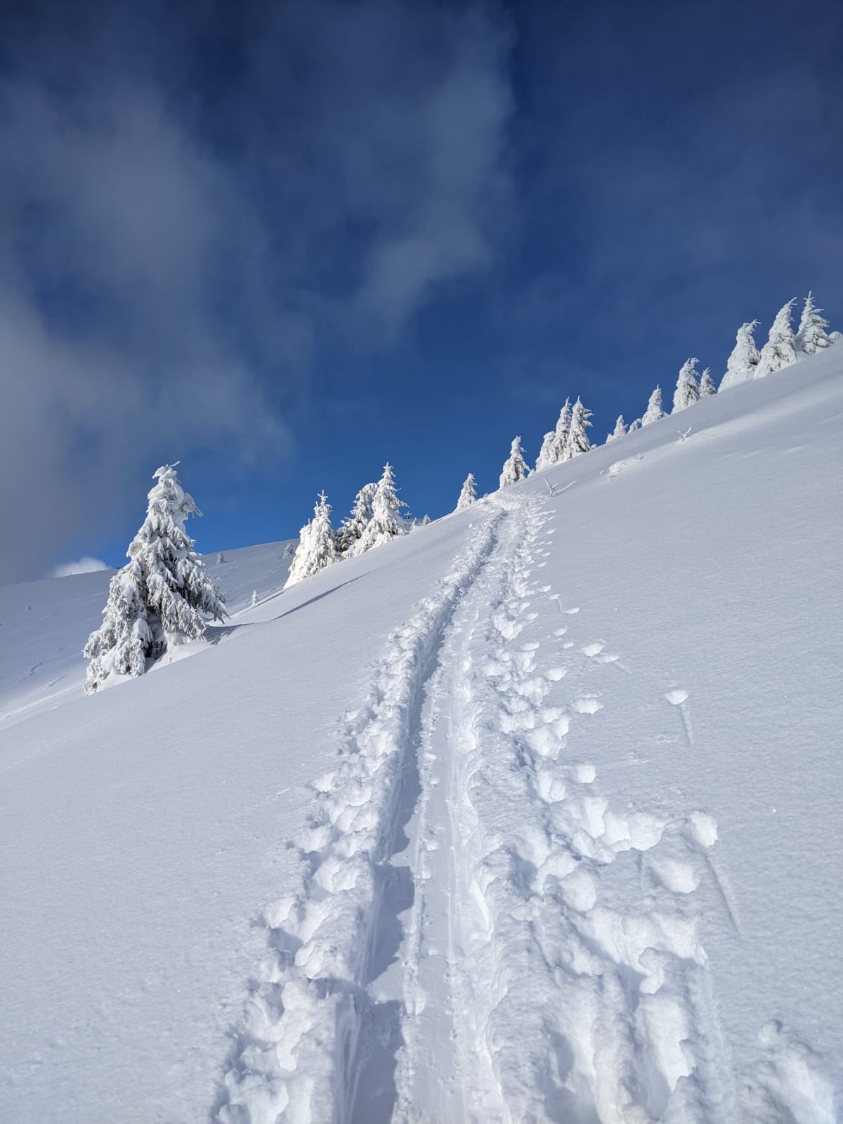 ski de randonnée le môle