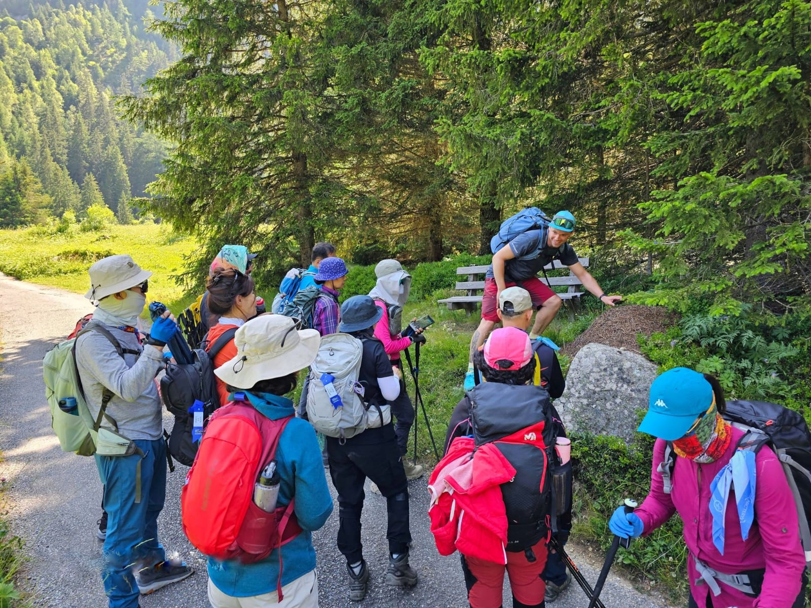 fourmies rousses des bois